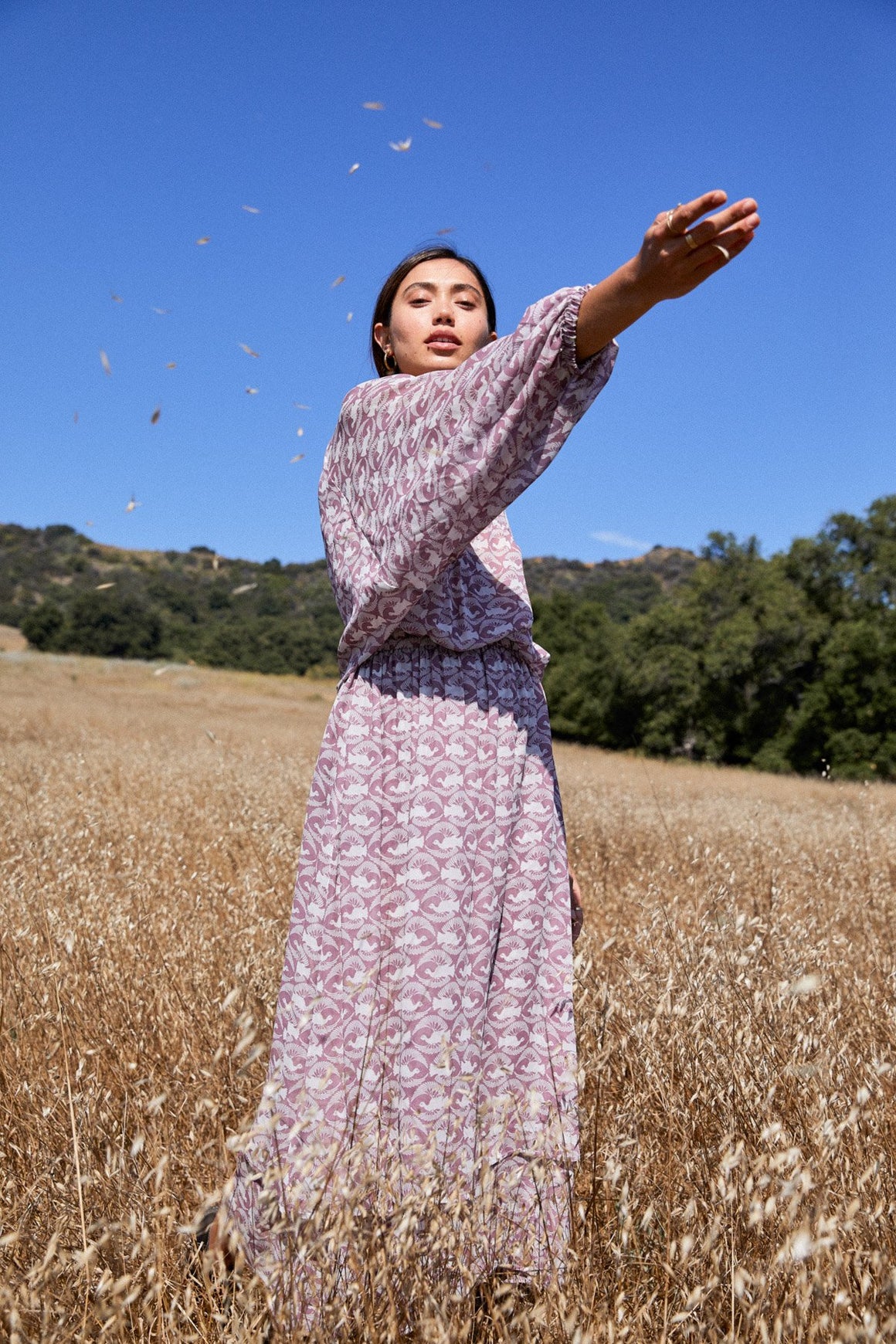 Chiffon Adrian Dress