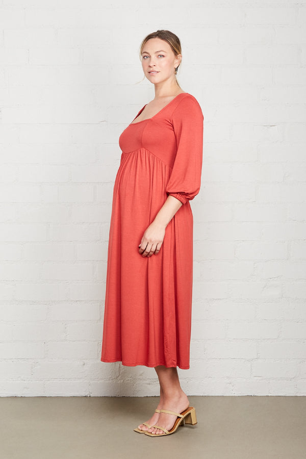 Raphaela Dress - Maternity